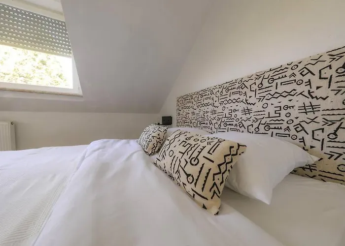 Neue In Der Naehe Von Trier