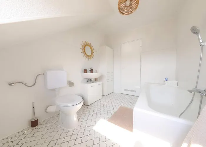 Neue In Der Naehe Von Trier